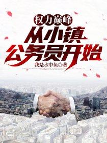 权力巅峰从小镇公务员开始 我是水中鱼