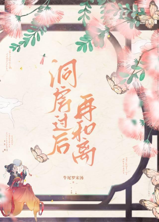 洞房过后再和离原著叫什么名字