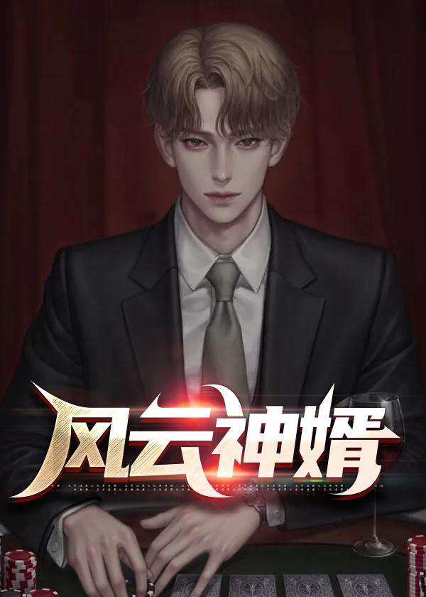 风云龙婿有声