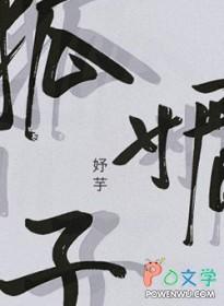 变形金刚狐媚子