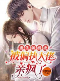 男主叫傅景琛女主叫顾念的