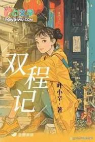 双程记by叶小辛讲的什么