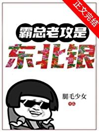 霸总老攻是东北银笔趣阁