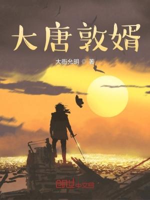 大唐敖婿