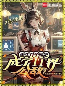 重生开个网吧成了it界公敌起点中文网