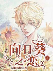 向日葵之花