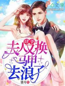 夫人又换马甲去浪了