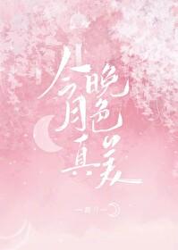 今晚月色真美日语意思