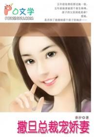 撒旦总裁虐宠妻