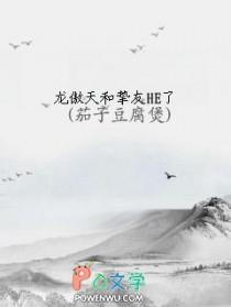 龙傲天和挚友HE了茄子豆腐