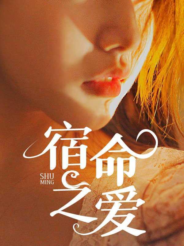 电视剧宿命之敌