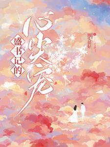 盛书记的心尖宠74章免费阅读