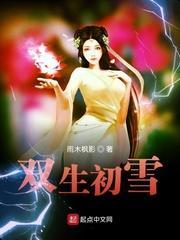 双生原版