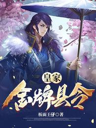 金牌县令书评