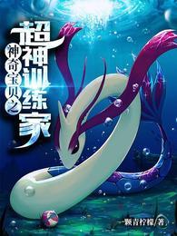 神奇宝贝之超神训练家大结局