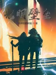 光明壁垒顾慎