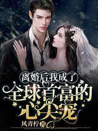 离婚后我成了全球首富的心尖宠免费阅读