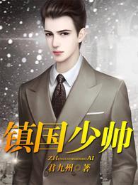 镇国少帅完整版免费