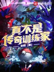 神奇宝贝之传奇训练家