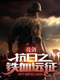 抗战之铁血亮剑李云飞