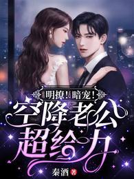 明撩!暗宠!空降老公超给力 秦酒
