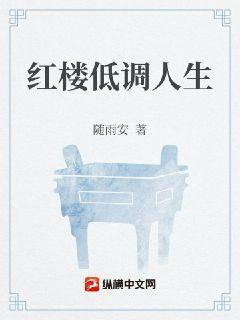 红楼低调人生免费阅读全文