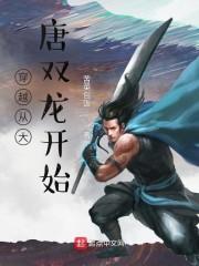 穿越大唐双龙传