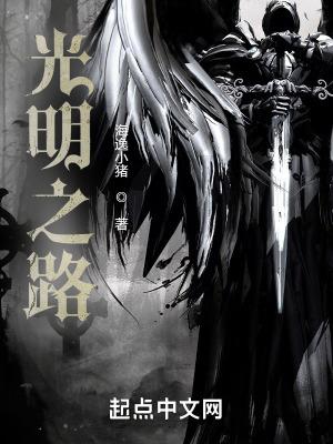 光明之路无防盗