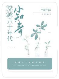 穿越六十年代上海知青