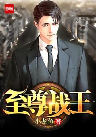 大夏龙帅