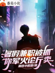 暑假兼职被抓,你军火论斤卖?