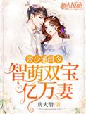 帝少通缉令:智萌双宝亿万妻