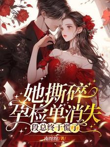 她撕碎孕检单消失,段总终于慌了