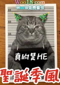 圣诞季风【兄妹】