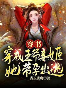 穿书:穿成王爷妾姬,她带孕出逃