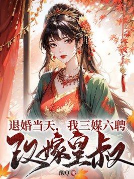 退婚当天,我三媒六聘改嫁皇叔