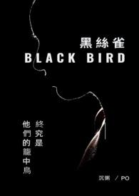 黑丝雀()