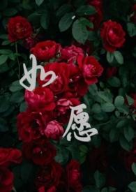 如愿()h