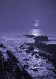 暗夜(NP gl,bg)