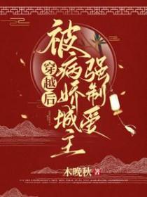 穿越后,被病娇城主爱