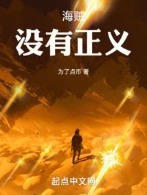 海贼:没有正义