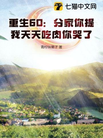 重生60:分家你提,我天天吃肉你哭了